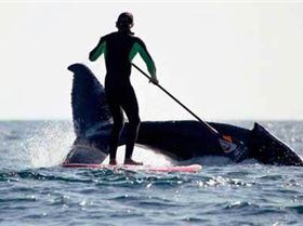 18243 10151421002924518 1233420944 n