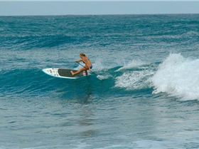 481610 538580699507809 1750216614 n