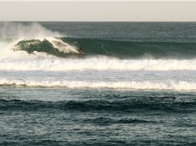 Langa lazza( Moosh initiated) Vic on camera