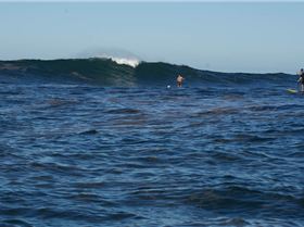 Langa lazza( Moosh initiated) Vic on camera