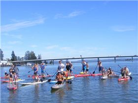 Stand Up Paddle
