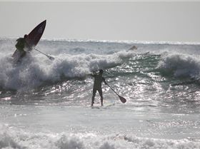 Stand Up Paddle