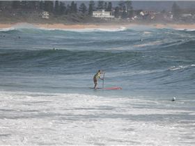 Stand Up Paddle
