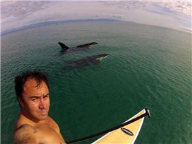 Shane SUPing with orcas