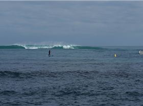 little island in june