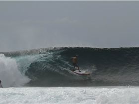 Addiction 2013 146 1