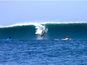 A few photos from last years indo trip