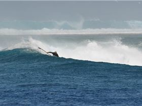 Indian Ocean Offshore SUP Sesh