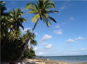 Frigates over my left shoulder 1 hour boat ride away