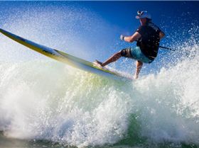 547481 239213256221192 938705898 n