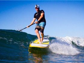 556010 239213209554530 1071866636 n