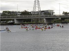 8 sup in River races.