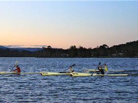 7876545318 454bbe975b c