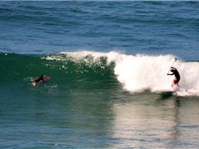 Marlos a quick learner & Rusty's new spear