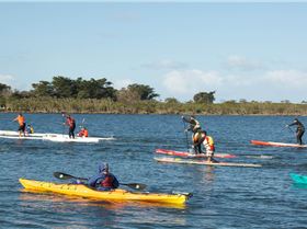 Stand Up Paddle