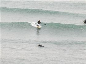 arboretum 083 (640x480)