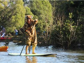 the life of pi...mullumbrunz paddle [ 400SUP,s ]