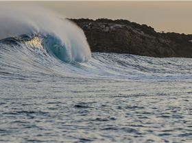 Nesha Photo Essay (1 of 1)-26