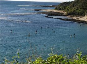 sth oz trip 2 cabbage tree bay demo 2
