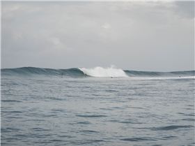 Salani Right from the boat