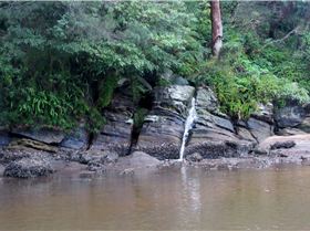Grays Point paddle 1