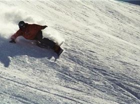 5852 1220137701583 8025326 n