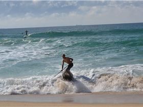 Stand Up Paddle