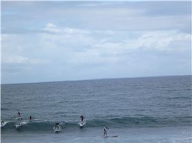 Whalebone Classic BOP race