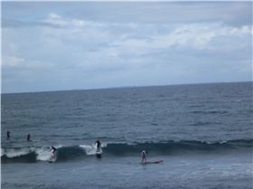 Whalebone Classic BOP race