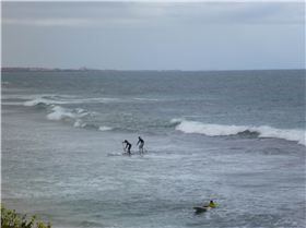 Whalebone Classic BOP race