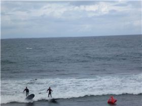 Whalebone Classic BOP race