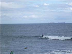 Whalebone Classic BOP race