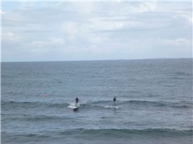 Whalebone Classic BOP race