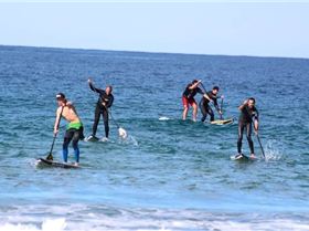 N1SCO Palm Beach 2013