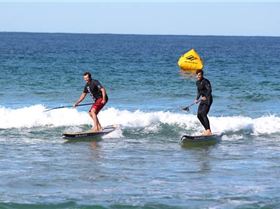 N1SCO Palm Beach 2013