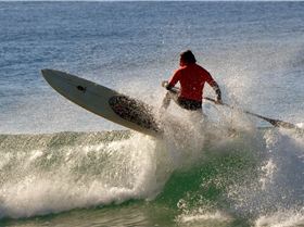 Stand Up Paddle