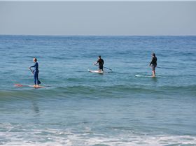 Stand Up Paddle