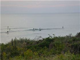 Zombie's on September 16