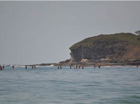 Surfair Island Challenge Race pics