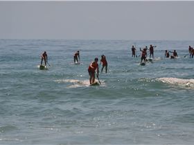 Stand Up Paddle