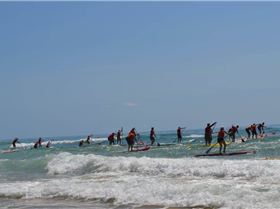 Stand Up Paddle