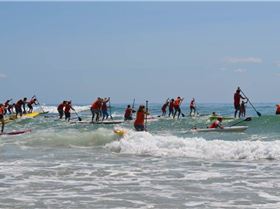 Stand Up Paddle