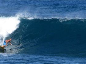 1383136 10153367146530005 1332214131 n