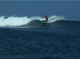 fiji frigates backhand turn