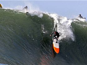 1471854 563828370360227 733667102 n