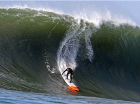 1441302 563828363693561 1230225909 n