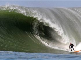 1455041 563828483693549 339246522 n