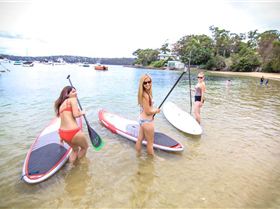 Balmoral Standup Demo Photos