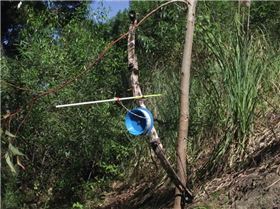 65lb Bowfishing compound with carp point and standard non-Dyneema line