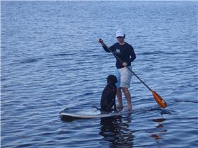 Stand Up Paddle